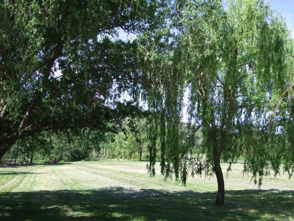 La Magnanerie D'Hotes ,Le Jardin Secret Sauve المظهر الخارجي الصورة